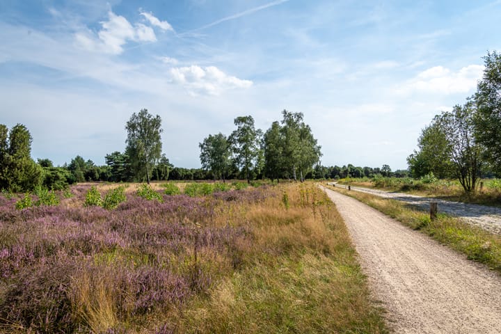 Foto 49 van Lage Esweg 73