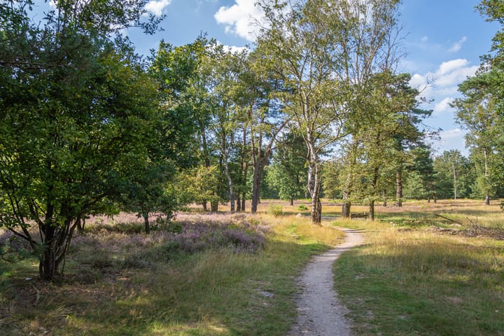 Foto 50 van Lage Esweg 73