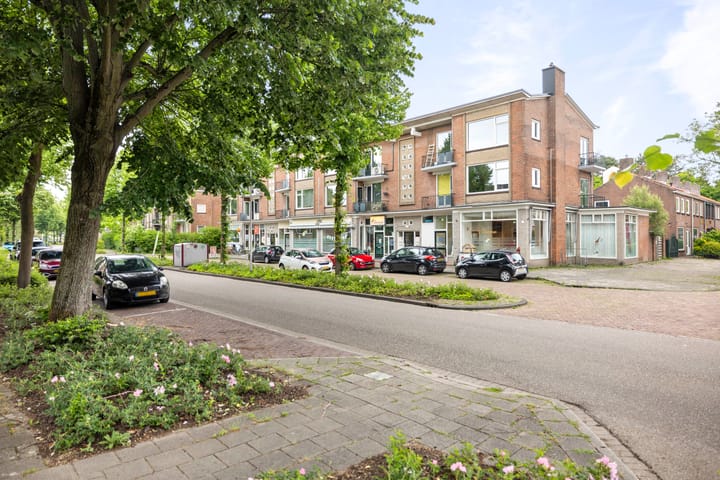 Joost van den Vondellaan 55