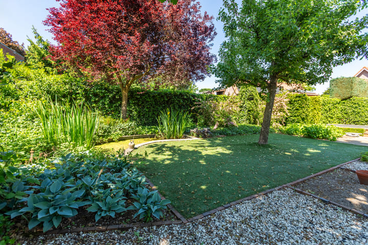 Foto 5 van Wanroijseweg 30