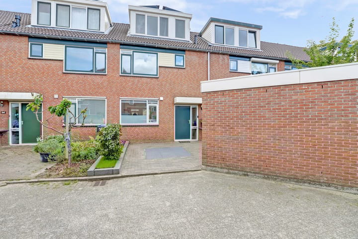 Foto 1 van Zalmforel 5