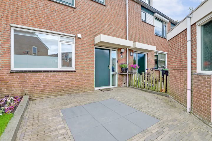 Foto 8 van Zalmforel 5