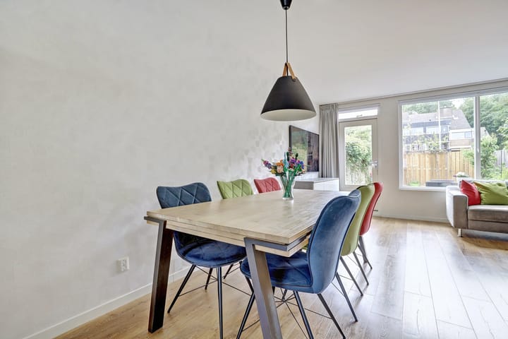 Foto 13 van Zalmforel 5