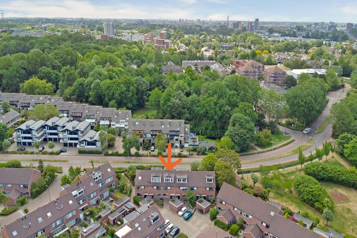 Foto 41 van Zalmforel 5