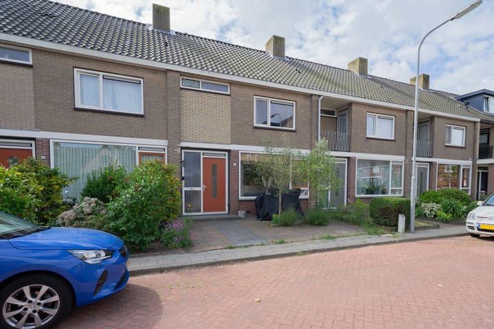 undefined main image