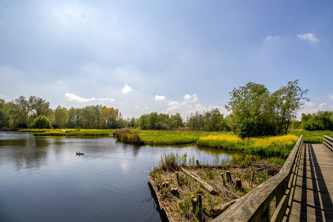 Foto 41 van Zambezilaan 62