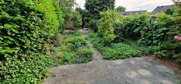 Foto 3 van Vechtstraat 37