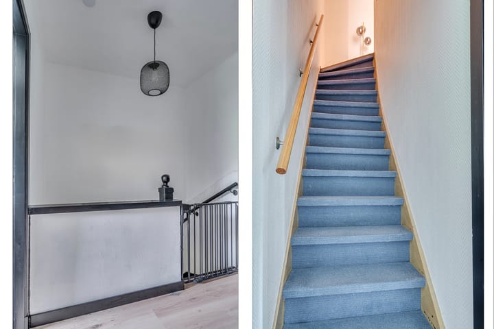 Foto 31 van Vierpaardjes 7