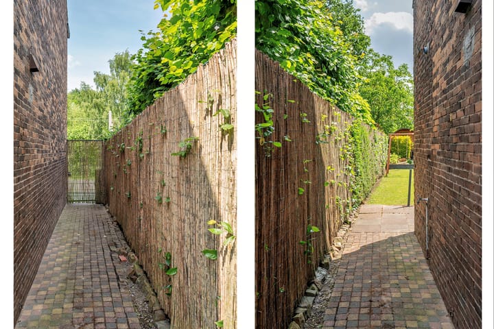 Foto 47 van Vierpaardjes 7