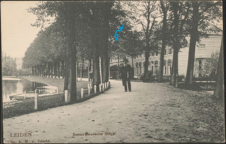 Foto 84 van Zoeterwoudsesingel 83