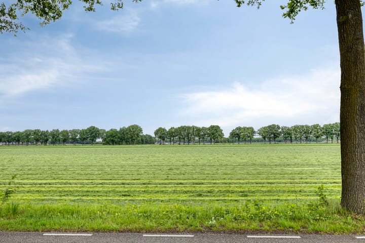 Foto 32 van Snavelbiesstraat 12