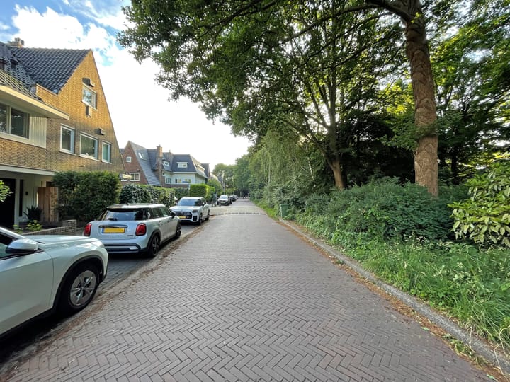 Foto 41 van Bos en Vaartlaan 11