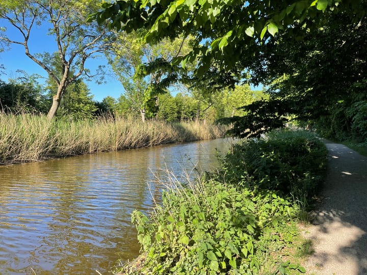 Foto 43 van Bos en Vaartlaan 11