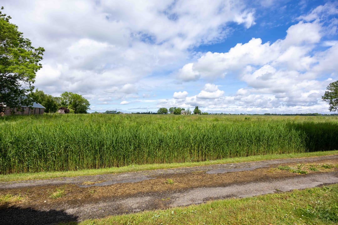 Foto 7 van Pastorieweg 15