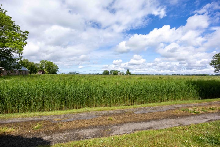 Foto 7 van Pastorieweg 15