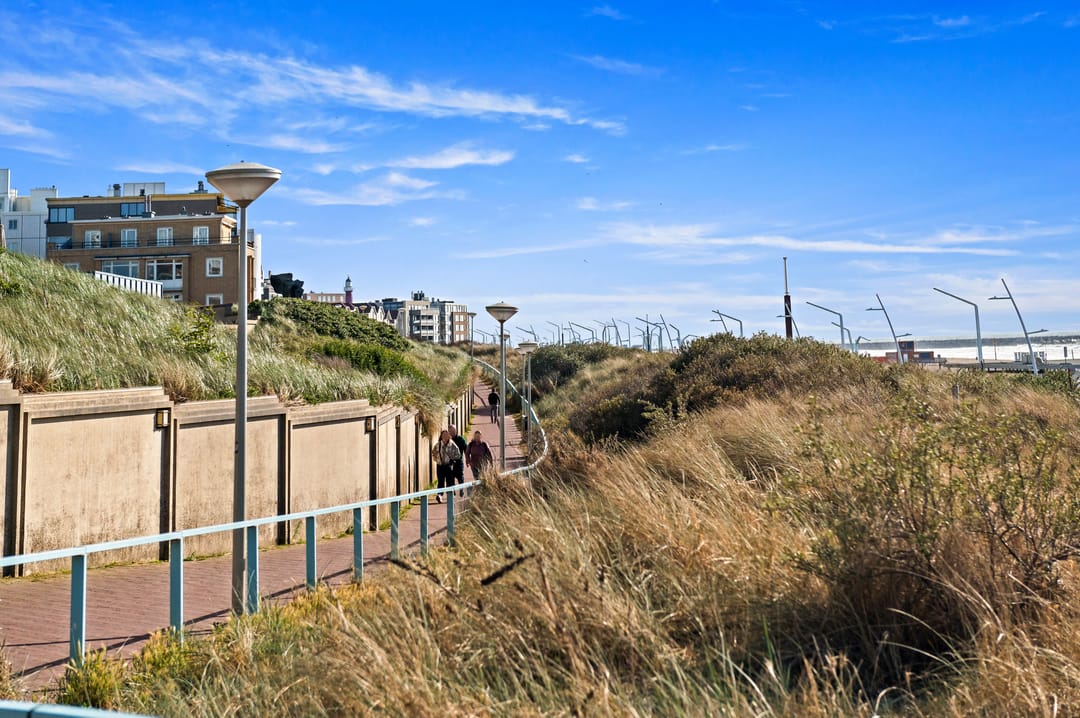 Foto 41 van Rederserf 130