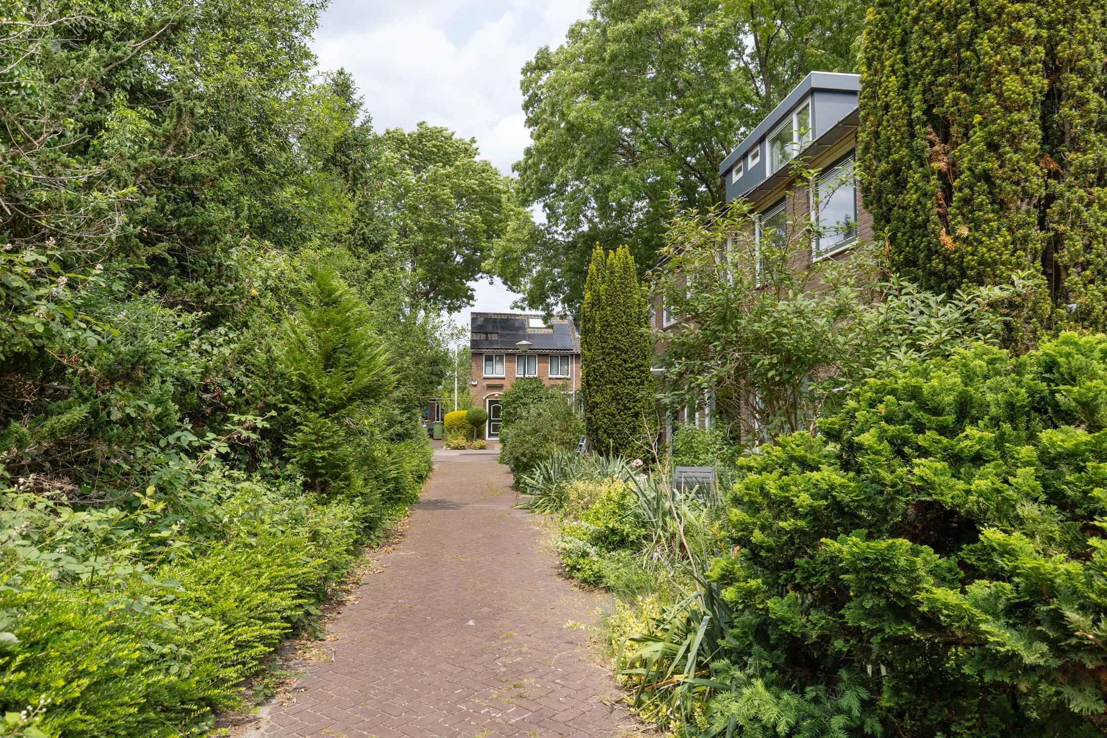 Foto 51 van Nimrodlaan 44