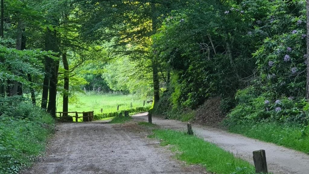 Photo 22 of Wittebergweg 18-C81