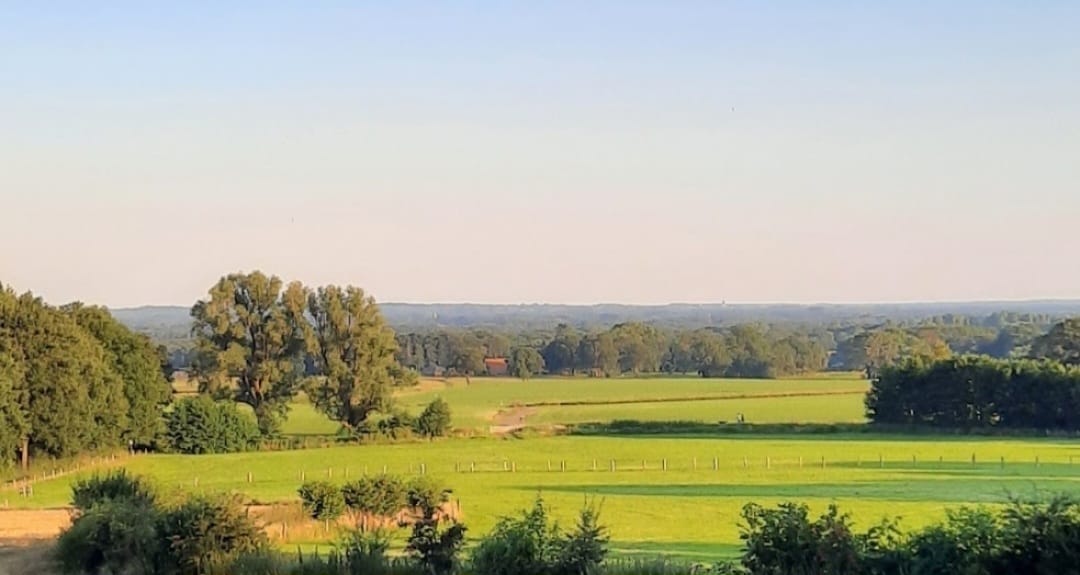 Photo 23 of Wittebergweg 18-C81