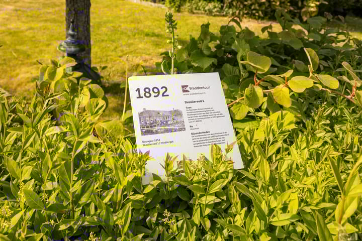 Foto 14 van Skoallereed 1