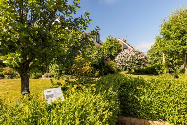 Foto 15 van Skoallereed 1