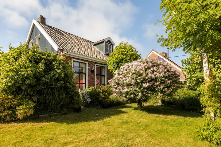 Foto 19 van Skoallereed 1