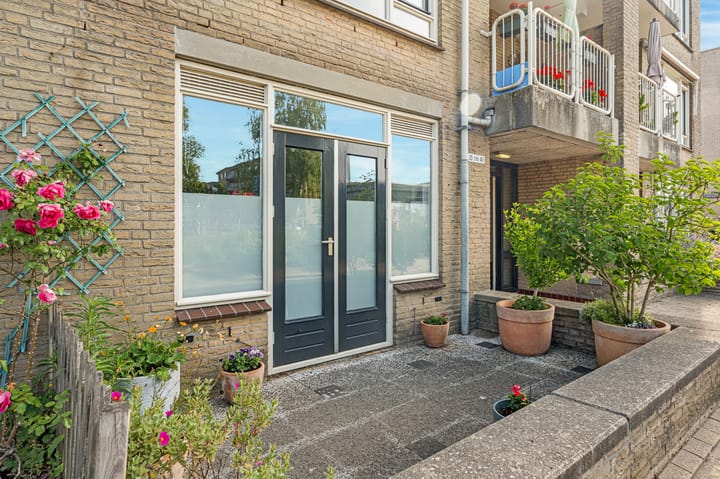 Foto 39 van Anielewiczsingel 33