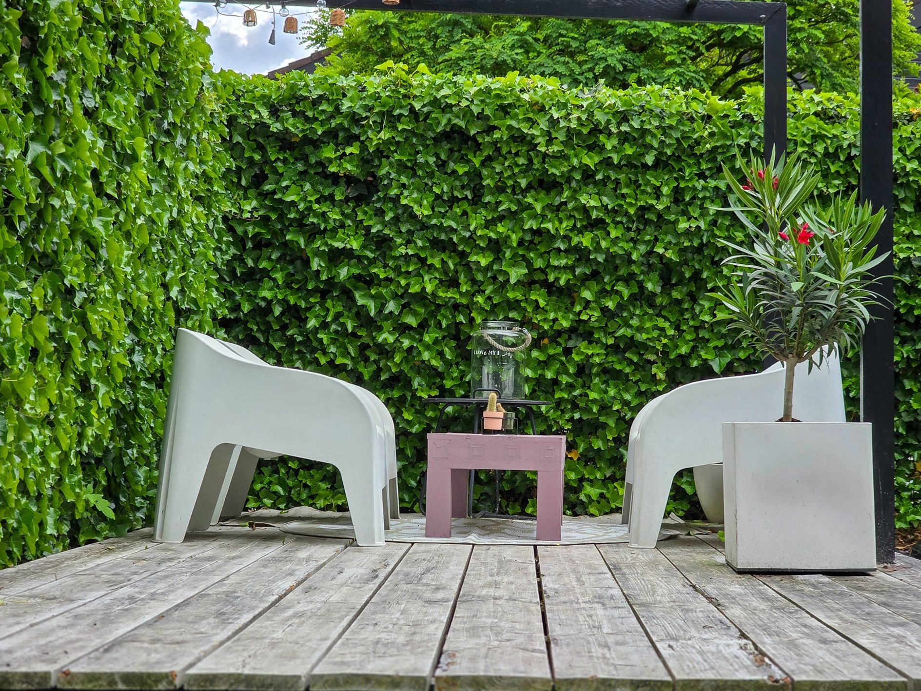 Photo 96 of Brecklenkamp 41