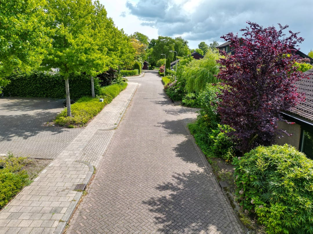 Photo 101 of Brecklenkamp 41