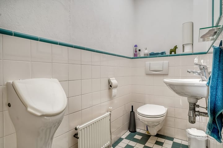 Photo 40 of Watertje 29