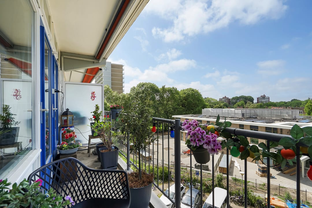 Foto 17 van Gradaland 37