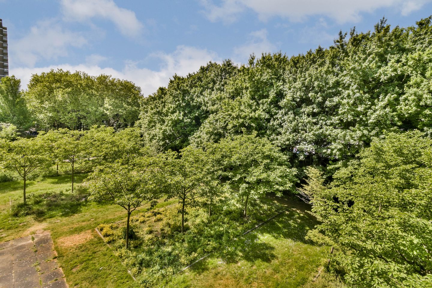 Foto 19 van Nachtwachtlaan 442