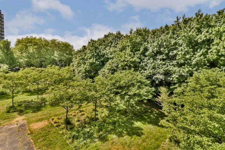 Foto 19 van Nachtwachtlaan 442