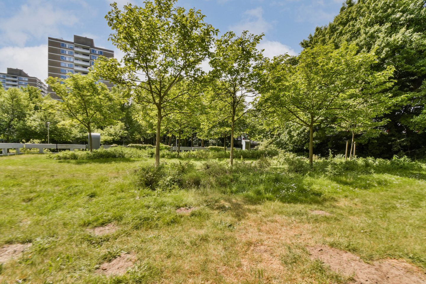 Foto 20 van Nachtwachtlaan 442