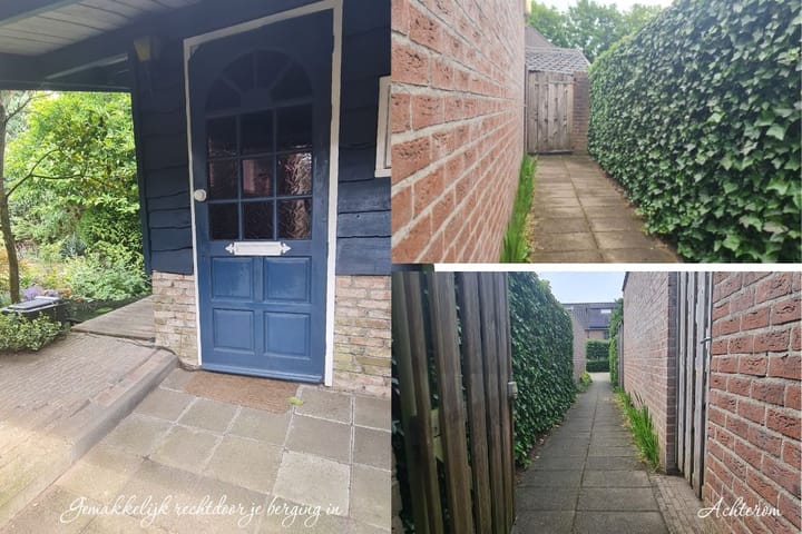 Foto 24 van Gouden Regen 1