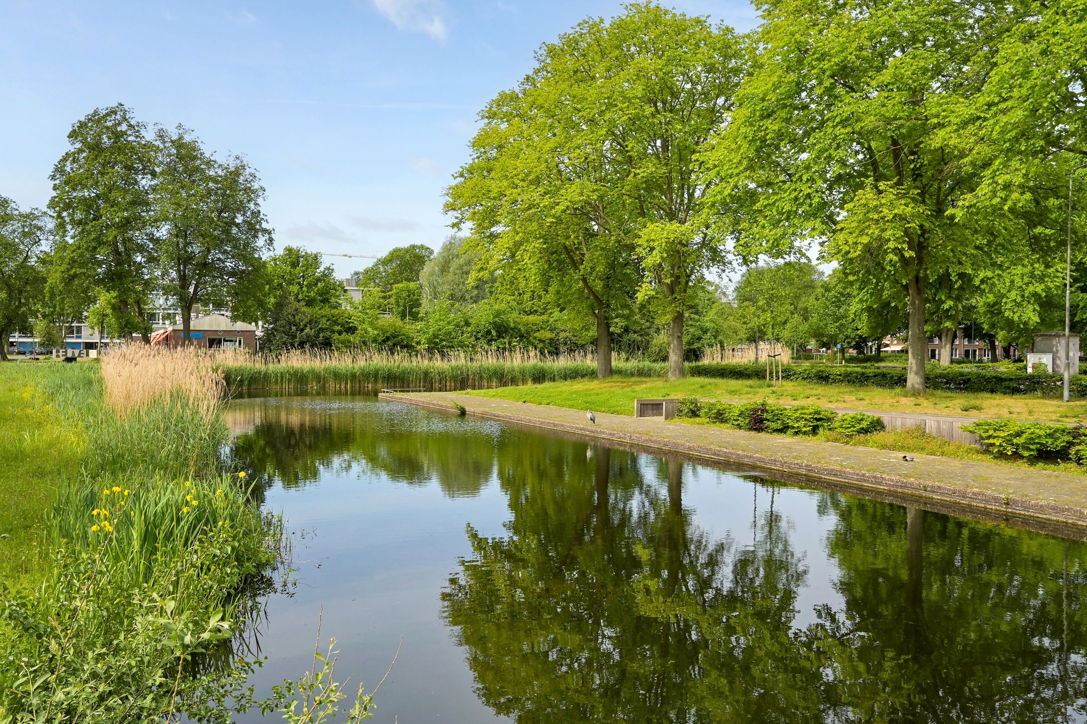 Photo 45 of Burgemeester Keijzerlaan 44