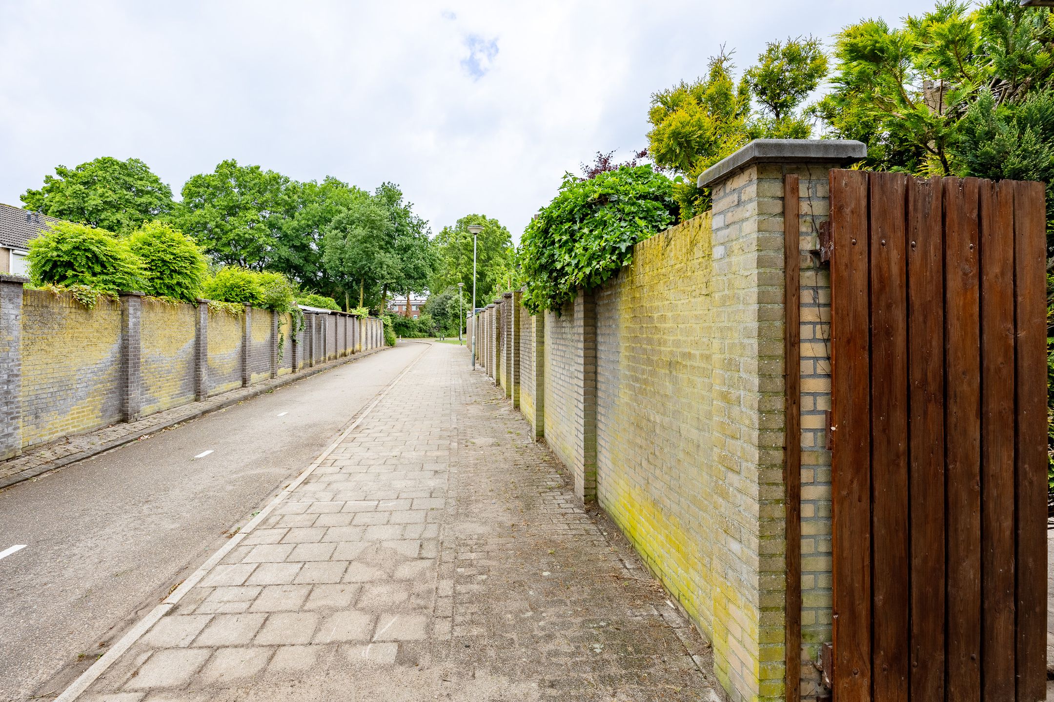 Foto 33 van Mambostraat 28