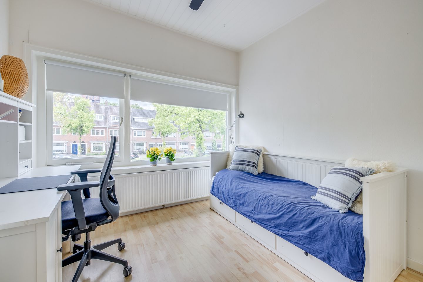 Foto 29 van Rijnlaan 234