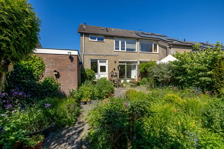 Foto 29 van de Grouw 17