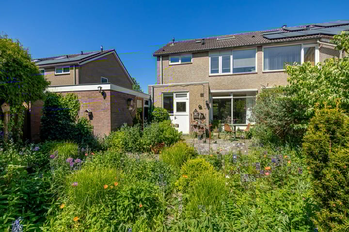 Foto 30 van de Grouw 17