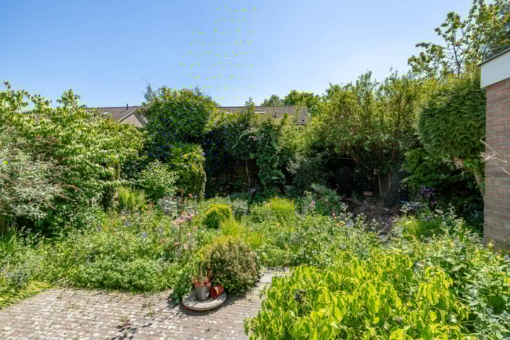 Foto 31 van de Grouw 17