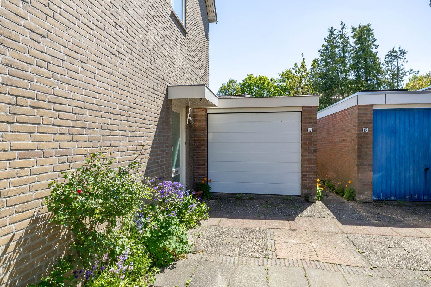 Foto 34 van de Grouw 17