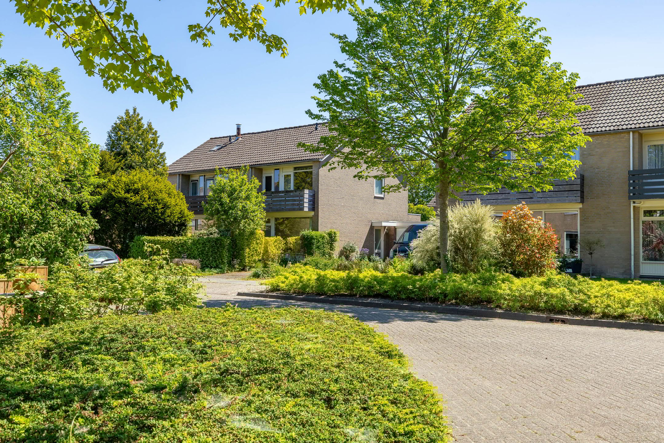 Foto 36 van de Grouw 17