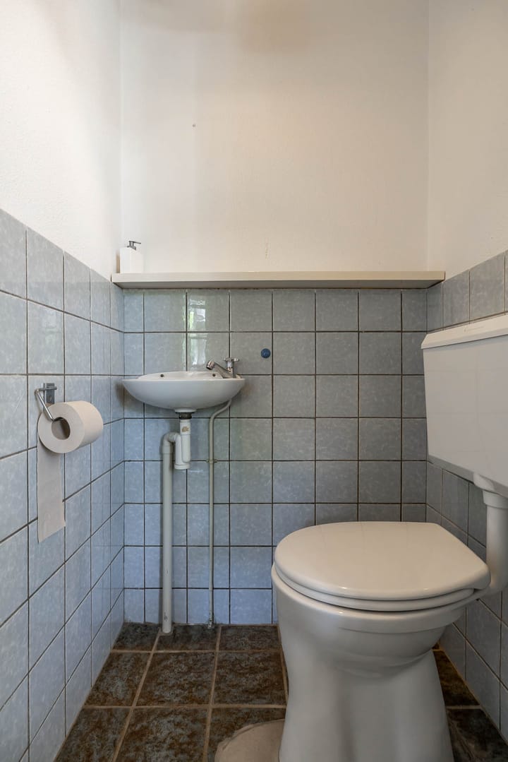 Foto 14 van de Grouw 17