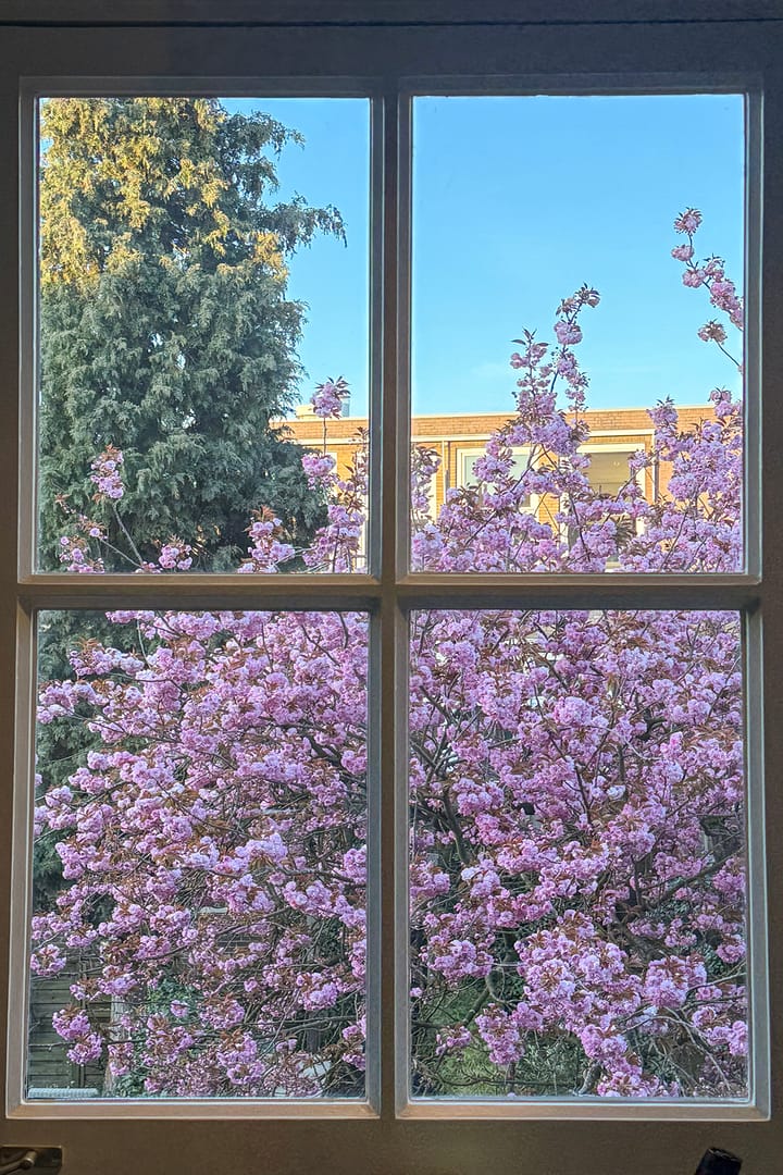 Foto 20 van Kerstant van den Bergelaan 10-B