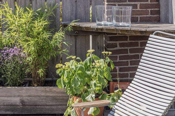 Foto 45 van Kerstant van den Bergelaan 10-B