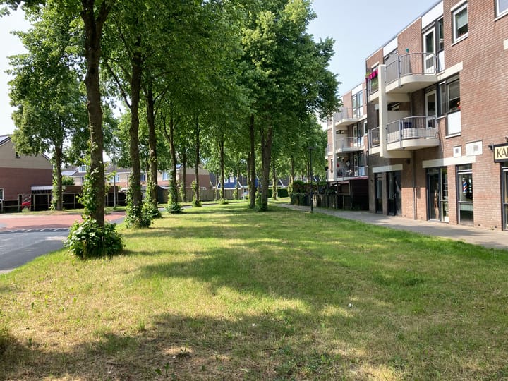 Foto 14 van Melkkelder 6