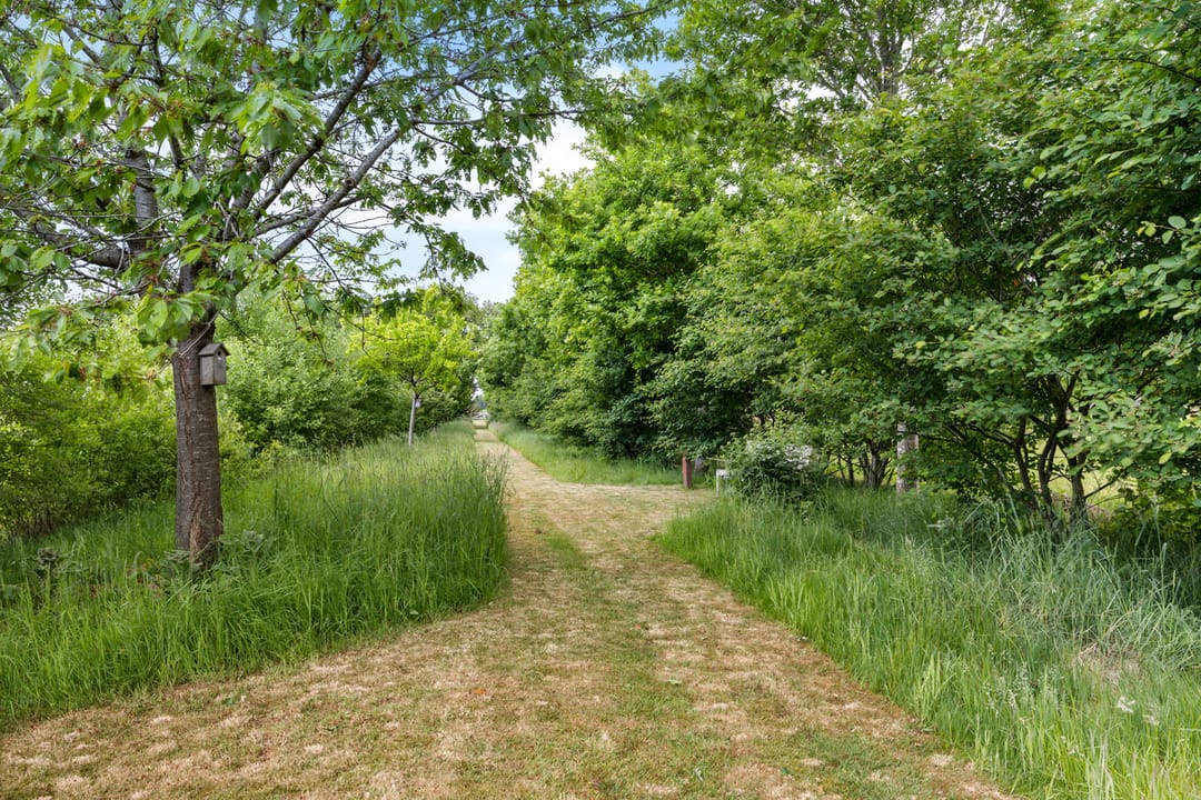 Foto 43 van Drijberseweg 12