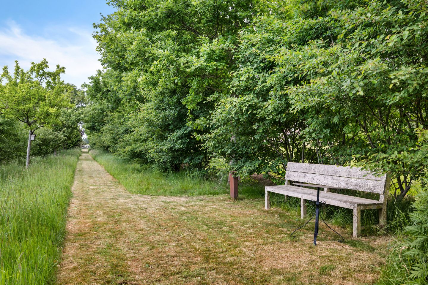 Foto 44 van Drijberseweg 12