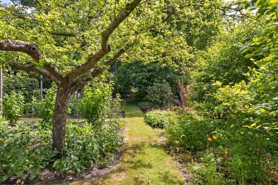 Foto 53 van Drijberseweg 12